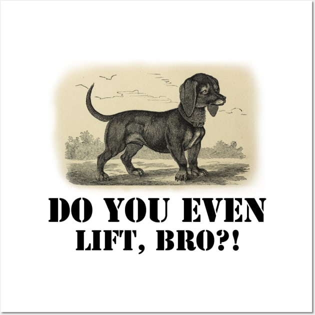 Do you even lift, bro? Wall Art by ArtisticFloetry